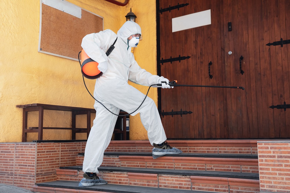 Best Termite Control Companies in Utah